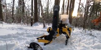 Boston Dynamics показала «руку» робособаки Spot — она может хватать вещи, открывать двери и копать
