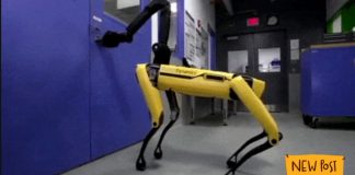 Boston Dynamics video: Watch ‘Black Mirror’ robot dog ‘Spot’ armed with new attachment