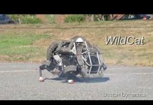 Awesome Wildcat movement test… / Boston dynamics