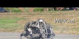 Awesome Wildcat movement test… / Boston dynamics