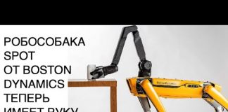 Boston Dynamics усовершенствовала своего робота-собаку Spot: новости науки и техники SCDAILY