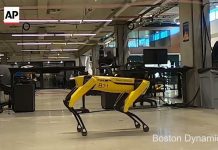 Dog-like robot gets arm, plays jump rope