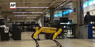 Dog-like robot gets arm, plays jump rope