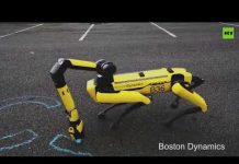 Help! Now it’s ARMED | Boston Dynamics’ Spot gets a robotic arm