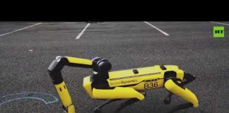 Help! Now it’s ARMED | Boston Dynamics’ Spot gets a robotic arm