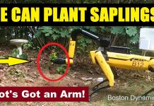 Boston Dynamics : Spot's Got an Arm!