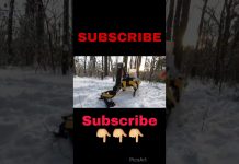 Spot's Got an Arm! Amazing Robots | Boston Dynamics #Shorts #tech