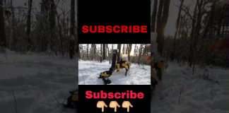 Spot's Got an Arm! Amazing Robots | Boston Dynamics #Shorts #tech