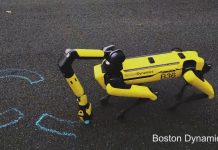 Boston Dynamics – Spot'un yetenekli kolu