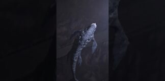 #zbrush #blender #creature #creaturedesign