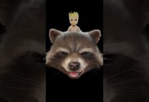 Rocket and Groot #guardiansofthegalaxy #3d #zbrush #marvel #blender