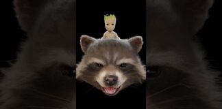 Rocket and Groot #guardiansofthegalaxy #3d #zbrush #marvel #blender