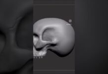 Anatomy check…#zbrush #anatomy #sculpting