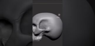 Anatomy check…#zbrush #anatomy #sculpting