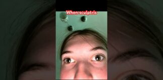 When sculptris- #antizoo #views #fypシ #httyd #furries #3dmodeling #zbrush #shorts