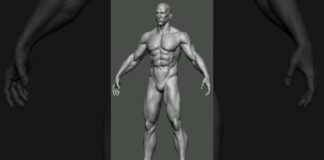 Superhero Base Mesh ✏️🖌️#ZBrush #anatomy #shorts #viralshort