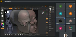Skull making in Zbrush