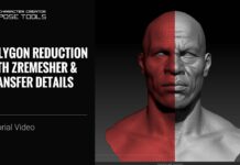 Polygon Reduction with ZRemesher & Transfer Details for CC AccuRIG | Pose Tools & Pose Link Tutorial