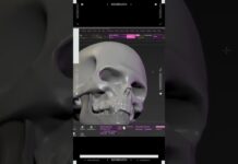 Human Skull Sculpting 2 – Zbrush // #shorts #characterdesign #digitalart #zbrush