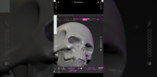 Human Skull Sculpting 2 – Zbrush // #shorts #characterdesign #digitalart #zbrush
