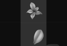 Sculpt a stylized leaves – ZBrush