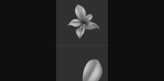 Sculpt a stylized leaves – ZBrush