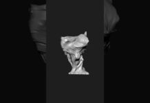 morphz00 | Zbrush Timelapse | #zbrush #3dmodeling #3d #character #creature #shorts