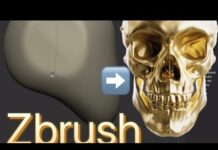 Zbrush Skull sculpting头骨入门雕刻过程