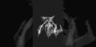 cofumons_0110 | Zbrush Timelapse | #zbrush #3dmodeling #3d #character #creature #shorts