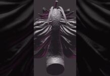 В моей фантазии возможно всё #art #zbrush #арт #рисование #диджиталарт #творчество #drawing