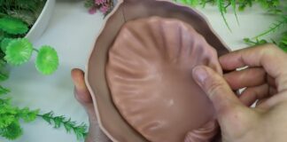 shell for soap making, plaster interior figures, vases. zbrush. 3d print