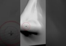 nose zbrush short #shorts