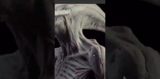 🕵🏽♂️ #3d #zbrush #unrealengine #art #blender #digitalart #handpainted #substancepainter #rtx