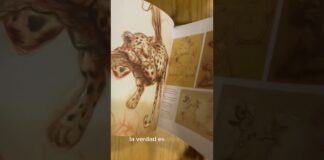 el MEJOR libro para 3D parte 1 #3danimation #blender #zbrush