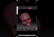 Human Skull Sculpting – Zbrush // #shorts #characterdesign #digitalart #zbrush