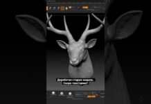 Доработал старую модель. Скоро текстуринг!#3dmodeling #3dmodel #3dscupting #zbrush #zbrushsculpt