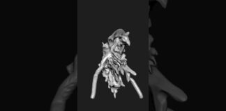 com4_0141 | Zbrush Timelapse | #zbrush #3dmodeling #3d #character #creature #shorts