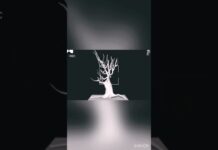 The tree 🌲 #3dmodeling #zbrush #artist #shots #shortsfeed #artistartwork #youtubecreator