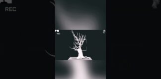 The tree 🌲 #3dmodeling #zbrush #artist #shots #shortsfeed #artistartwork #youtubecreator