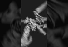 3D Modeling | com4_0152 | Zbrush Timelapse | #zbrush #3dmodeling #3d #character #creature #shorts