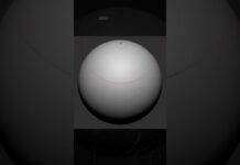 The Free Gio Brush | ZBrush | Artist: Pablo Munoz Gomez | 3D Fortes | We Effects