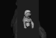 bear mr – 3D Modeling | Zbrush Timelapse | #zbrush #3dmodeling #3d #character #shorts