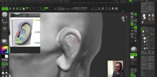 Cabeza en Zbrush No. 1 – Definiendo proporciones