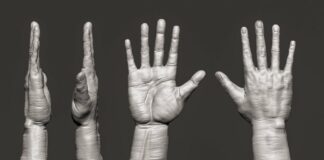 Mastering Realistic Hand Sculpting: Zbrush Timelapse Artistry | Zbrush Timelapse