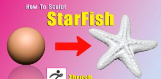 StarFish | Sculpting in #zbrush