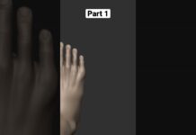 #3d #3dsculpting #anatomy #zbrush