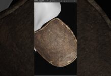 👨🏽🎨 #zbrush #3d #blender #digitalart #handpainted #substancepainter #howto #unrealengine