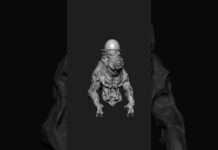 wild boar mr – 3D Modeling | Zbrush Timelapse | #zbrush #3dmodeling #3d #character #shorts