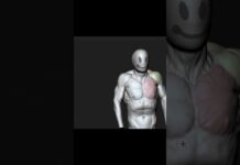 Shoulder Elevation #zbrush #3d #3danimation #3dart#tutorial#timelapse #anatomy #animation #sculpture