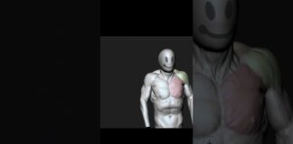 Shoulder Elevation #zbrush #3d #3danimation #3dart#tutorial#timelapse #anatomy #animation #sculpture